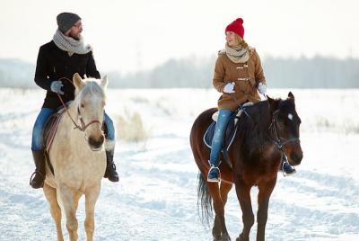 Winter Horse Riding in Bled