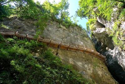 From Bled: Discovery Trail From Bled: Discovery Trail