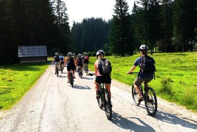 Lake Bohinj from Bled: Self-Guided Cycling Tour