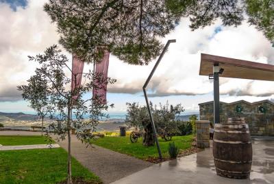 Wine Fountain Tour from Koper Wine Fountain Tour from Koper
