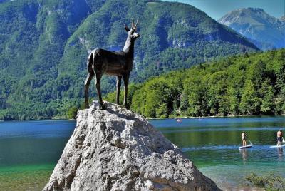 Magic of Alps, Triglav NP with Lake Bohinj & Waterfall Savica, HD