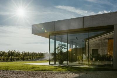 Vipava Valley wine tasting experience