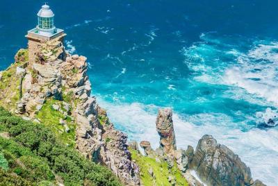 Cape Point and Boulder Cape Point and Boulder's Beach Penguins Tour: Including Park fee