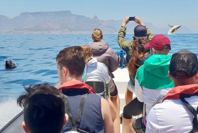 V&A Waterfront Marine Big 5 Ocean Safari