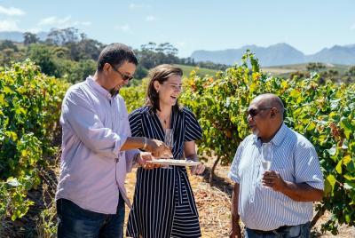 Lonely Planet Experience: For the Love of Wine Half Day Tour from Lonely Planet Experience: For the Love of Wine Half Day Tour from