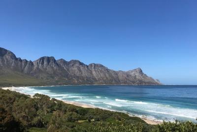 Guided beachcomber walks