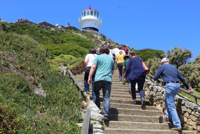 Full-Day Tour to Cape Point and Cape of Good Hope