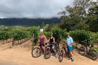 Constantia Valley and Winelands tour