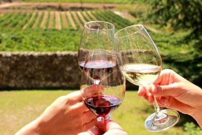 Stellenbosch Half Day Wine Tour Stellenbosch Half Day Wine Tour