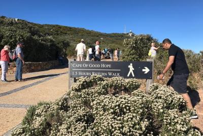 Full Day Cape Peninsula Scenic Tour  Full Day Cape Peninsula Scenic Tour