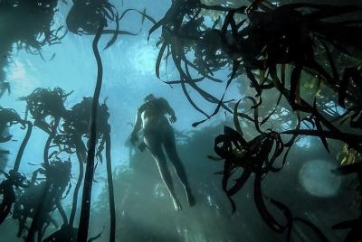 Sustainable Sea Life Adventure w/ Snorkeling add-on