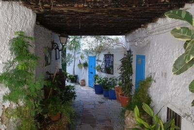 Private walking tour around the Old Town of Frigiliana Private walking tour around the Old Town of Frigiliana