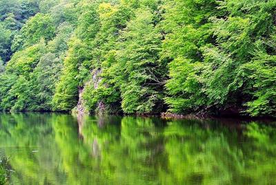 From Yerevan with lunch: Explore the beautiful Sevan and Parz lak From Yerevan with lunch: Explore the beautiful Sevan and Parz lak