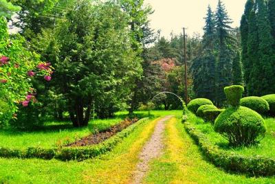 Private tour to Saghmosavank, Lori Fortress, Dendropark Private tour to Saghmosavank, Lori Fortress, Dendropark