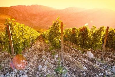 Herzegovina Wine Route in a Day Tour from Mostar Herzegovina Wine Route in a Day Tour from Mostar