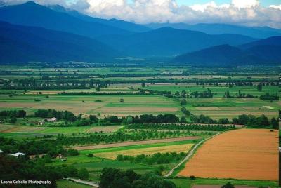 Group Tour To Kakheti, Sighnaghi