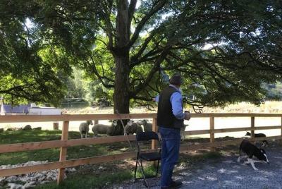 A day in Wicklow with a private guide! Scenery, history, & hiking