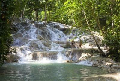 Nine Miles and Dunn's River falls Tour from Negril Hotels