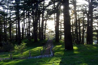 Superior Quality: Cedars - Besharre - Qozhaya (Full day) Superior Quality: Cedars - Besharre - Qozhaya (Full day)