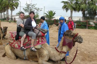 camel Agadir camel Agadir