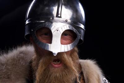 The Viking Planet The Viking Planet
