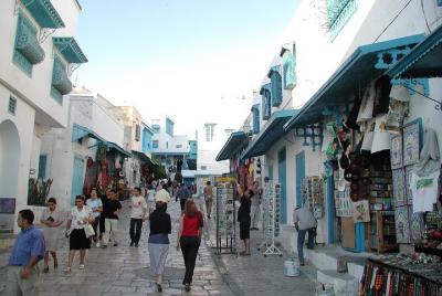 Carthage and Sidi Bou Said Half-Day Guided Tour from Tunis Carthage and Sidi Bou Said Half-Day Guided Tour from Tunis
