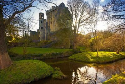 3-Day Cork, Blarney Castle, Ring of Kerry and Cliffs of Moher Rai