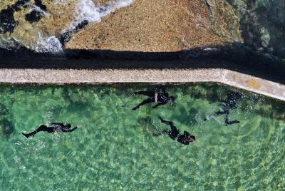 Snorkel Cape Town's Beautiful Tidal Pools