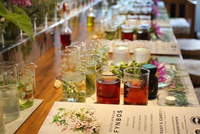 Fynbos Tasting Experience in the historic Company's Garden