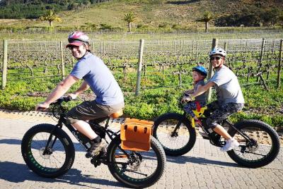 Franschhoek E-Bike Wine Tours
