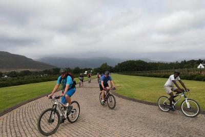 true experience wines&township tours 