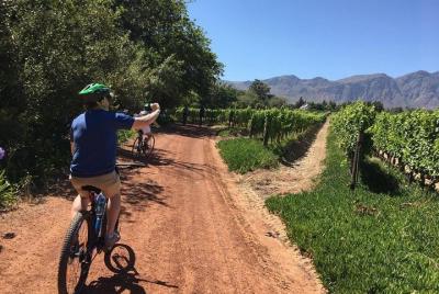 Franschhoek Experience 3 Hour