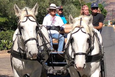 1.5 Hour WINE TASTING Carriage Trail