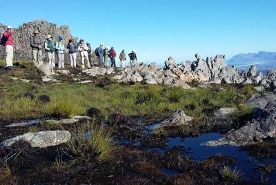 Fernkloof Guided Walks