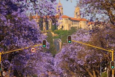 Jacaranda City Tour(Half Day) Jacaranda City Tour(Half Day)
