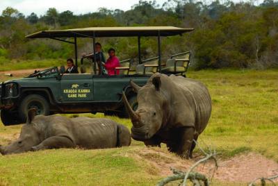 Skip the Line: 2-Hour Guided Game Drive at Kragga Kamma Game Park Skip the Line: 2-Hour Guided Game Drive at Kragga Kamma Game Park