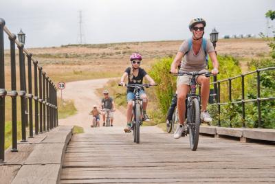 Stellenbosch Family Tour Stellenbosch Family Tour