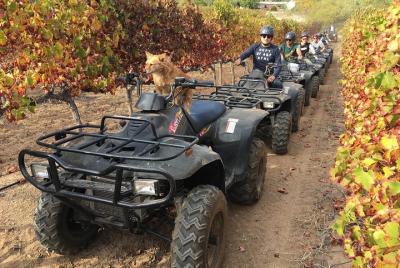 1 Hour Nature Quad bike trail