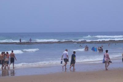 Isimangaliso Wetland Park and Cape Vidal Day Trip from St. Lucia