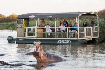 Shoreline Hippo and Crocodile Boat Cruises, iSimangaliso Wetland 