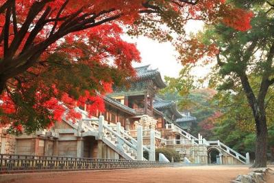 Gyeongju ONE DAY (History + Heritage + Culture + Local food + Cra Gyeongju ONE DAY (History + Heritage + Culture + Local food + Cra