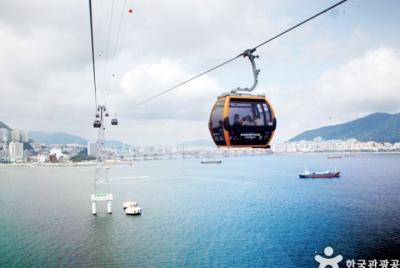 1 Day Busan Tour (Private Tour)  1 Day Busan Tour (Private Tour)