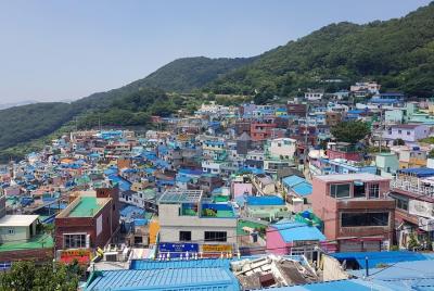 Busan Tour with Gamcheon Culture Village Busan Tour with Gamcheon Culture Village