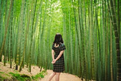 Eastern Busan Small Group Photography Tour [Max 4]