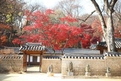 Korea UNESCO Sites 9days 8nights Korea UNESCO Sites 9days 8nights