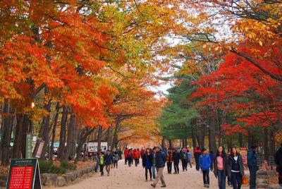 The Beauty of the Korea Fall Foliage Discover 11days 10nights The Beauty of the Korea Fall Foliage Discover 11days 10nights