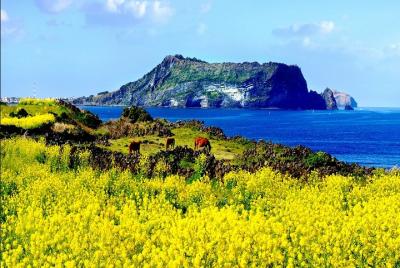 10-DAY Tour:Jeju Hiking,Rafting+ATV on Donggang River+Segway or Electric Bike 10-DAY Tour:Jeju Hiking,Rafting+ATV on Donggang River+Segway or Electric Bike