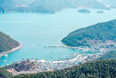 15 Days 14nights Private Custom Korea tour including Tongyeong, Damyang, Boseong 15 Days 14nights Private Custom Korea tour including Tongyeong, Damyang, Boseong