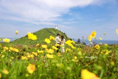 Jeju island East 1 day Bus tour (Lunch + Free Snap Photo included Jeju island East 1 day Bus tour (Lunch + Free Snap Photo included