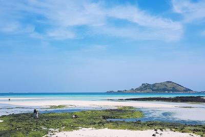 Jeju West Course - (Lunch included) Bus Tour, Full-day Tours, Day Jeju West Course - (Lunch included) Bus Tour, Full-day Tours, Day
